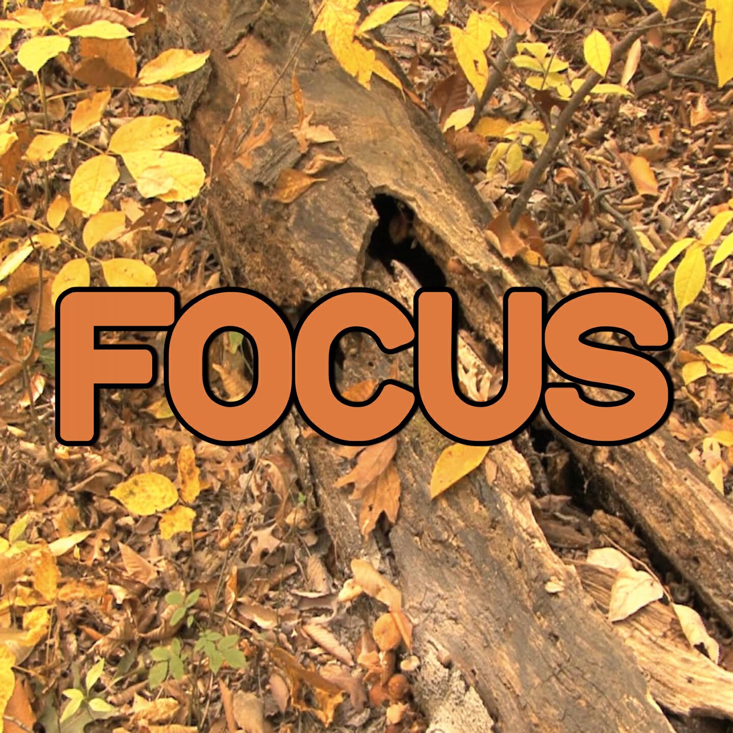 Swift Hits - Focus - Tribute to Ariana Grande (Instrumental Version)