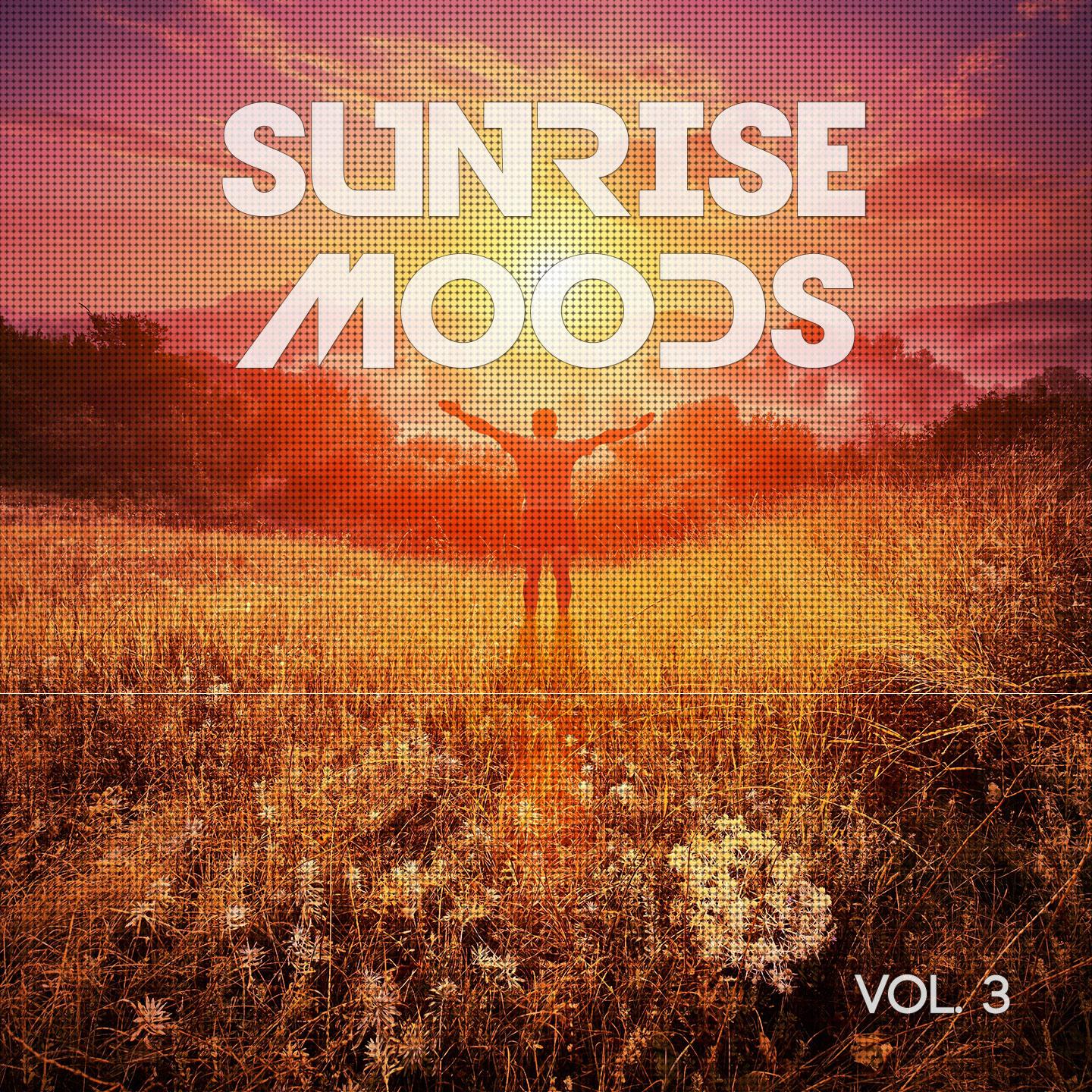 Постер альбома Sunrise Moods, Vol. 3