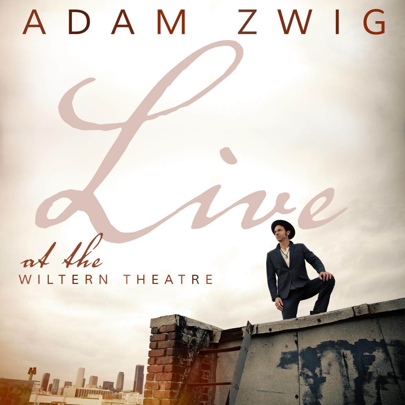 Постер альбома Live at the Wiltern Theatre