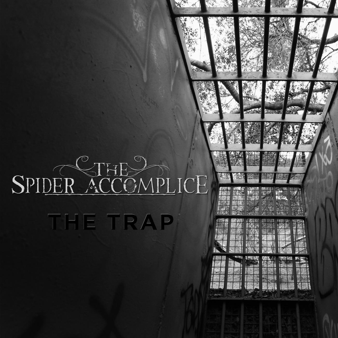 The Spider Accomplice - Calico Concrete