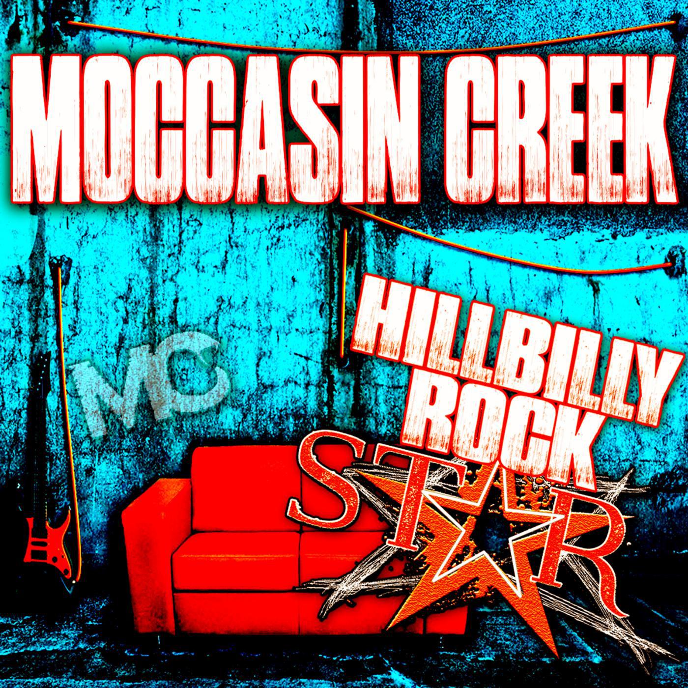 Постер альбома Hillbilly Rockstar