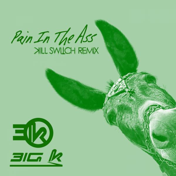 Постер альбома Pain In The Ass (Kill Switch Remix)
