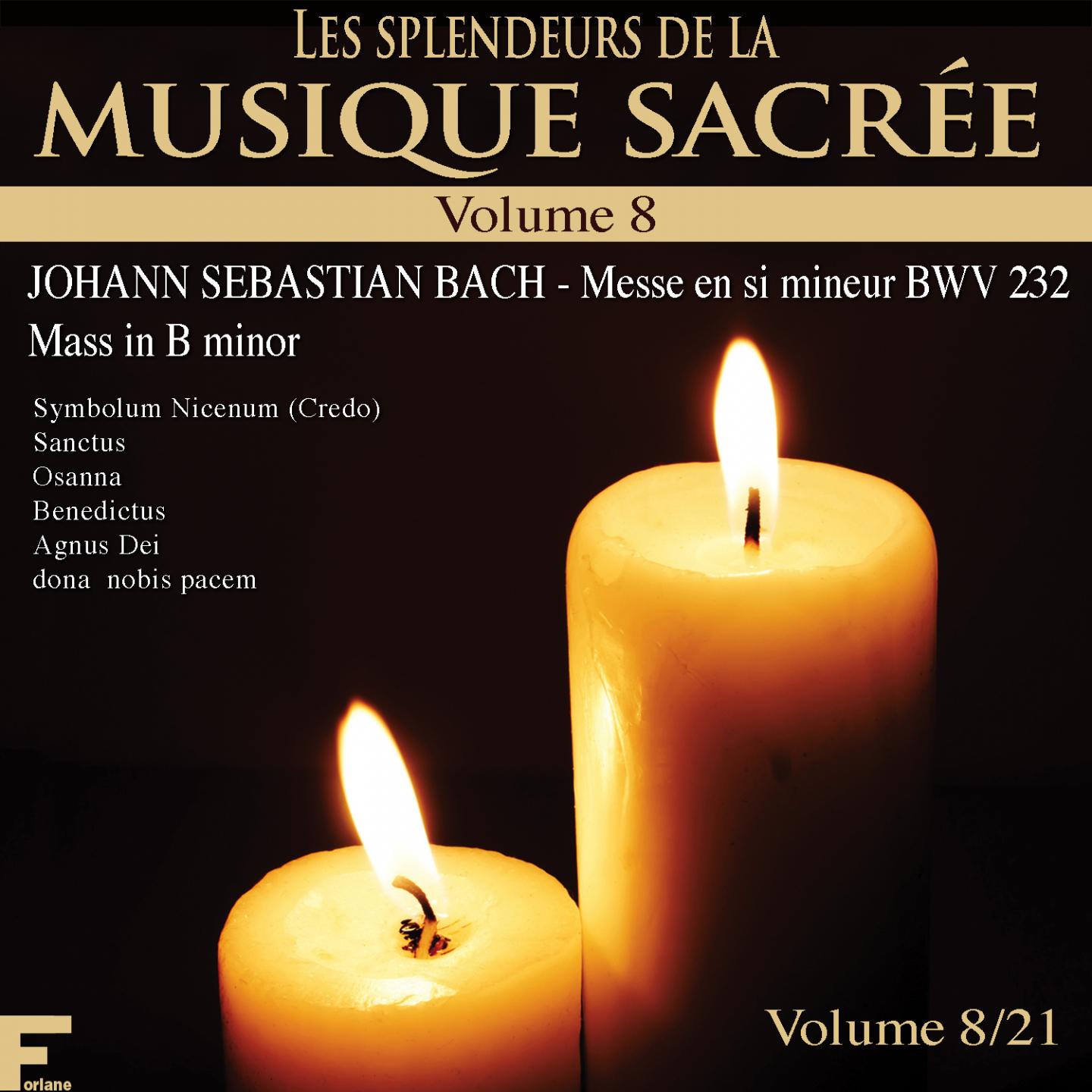 Постер альбома Les splendeurs de la musique sacrée, Vol. 8