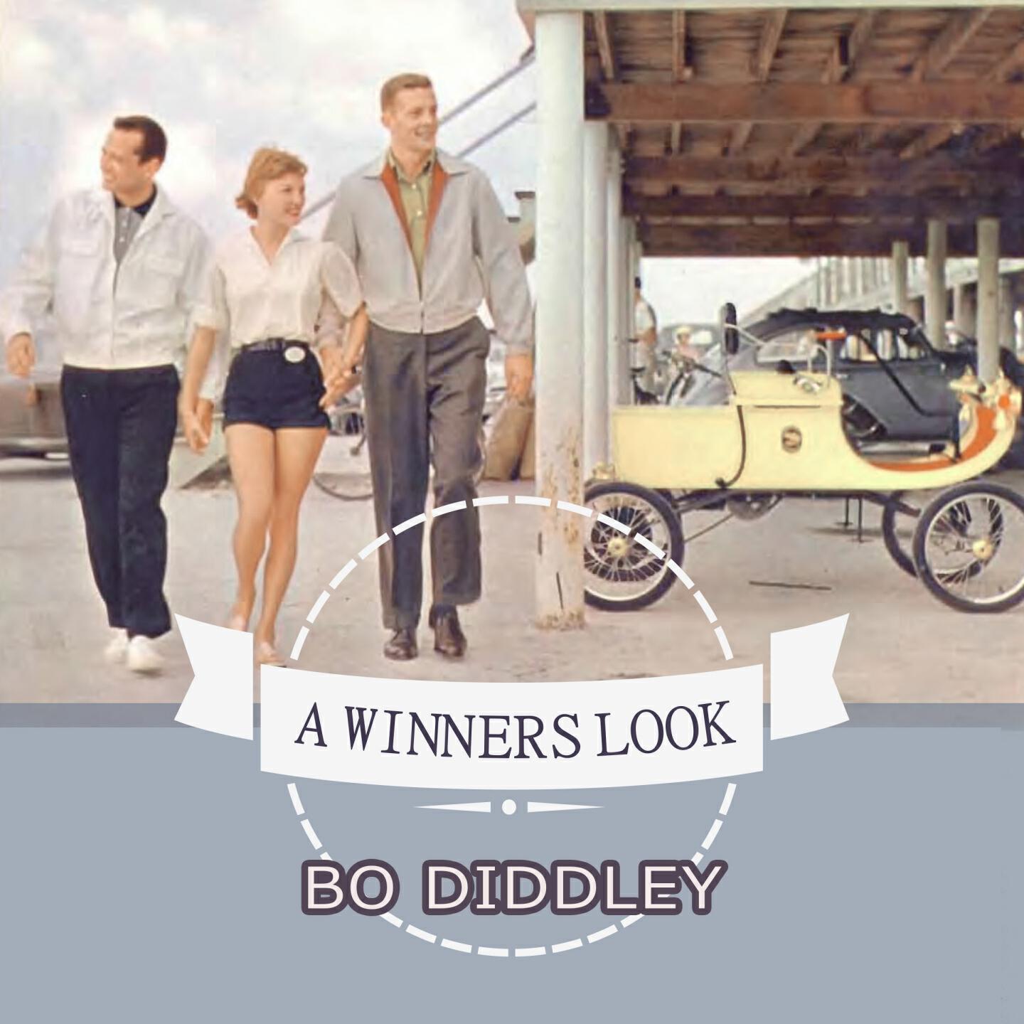 Bo Diddley - Wishy Washy