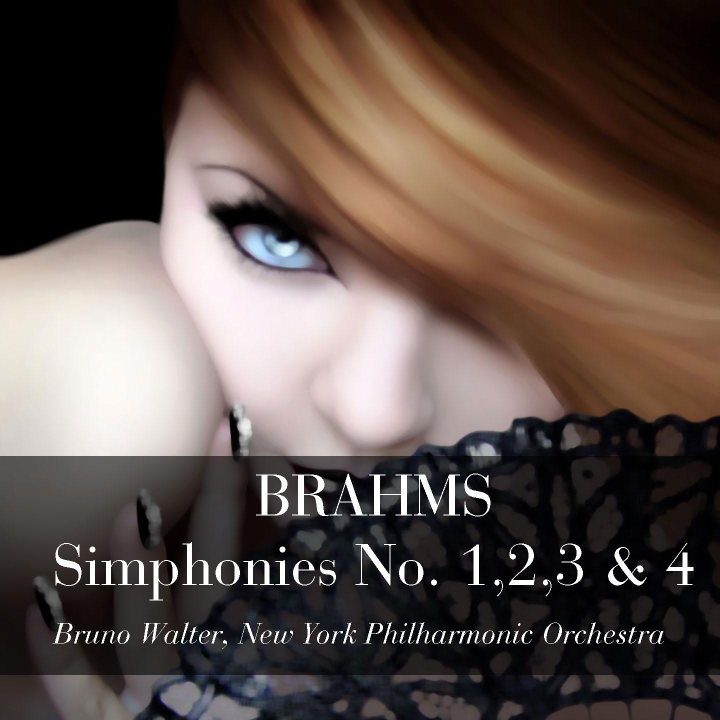 New York Philharmonic Orchestra - Symphony No. 2 in D Major, Op. 73: III. Allegretto grazioso