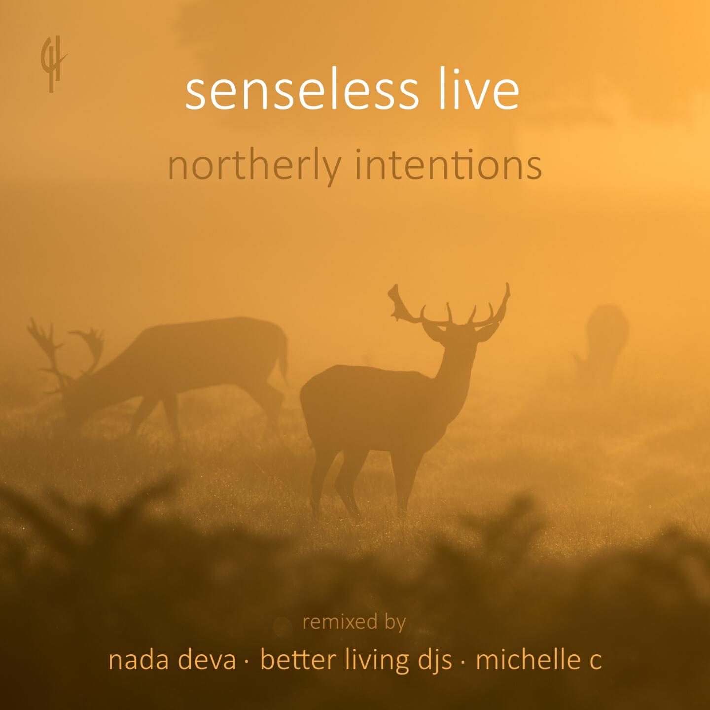 Senseless Live - Matter No Matter (Michelle C Remix)