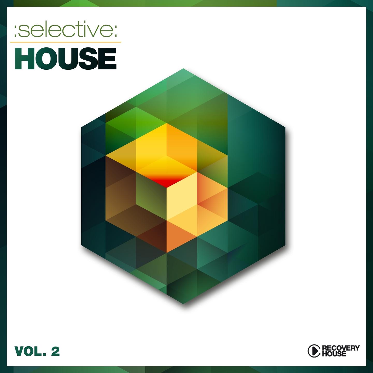 Постер альбома Selective: House, Vol. 2