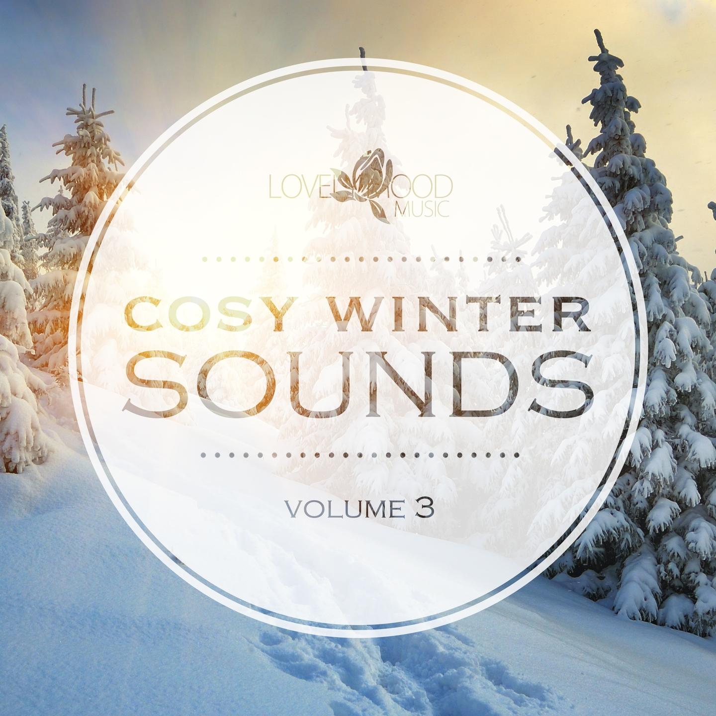 Постер альбома Cosy Winter Sounds, Vol. 3