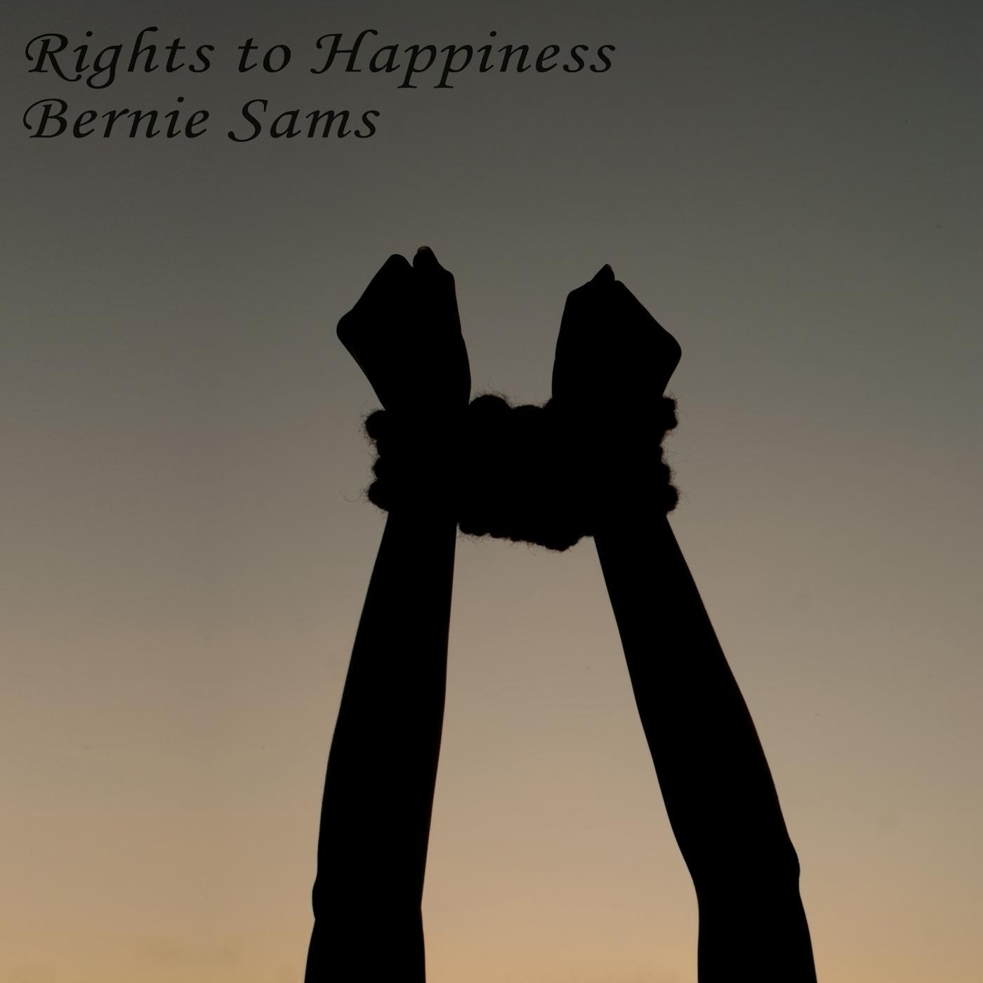 Постер альбома Rights to Happiness