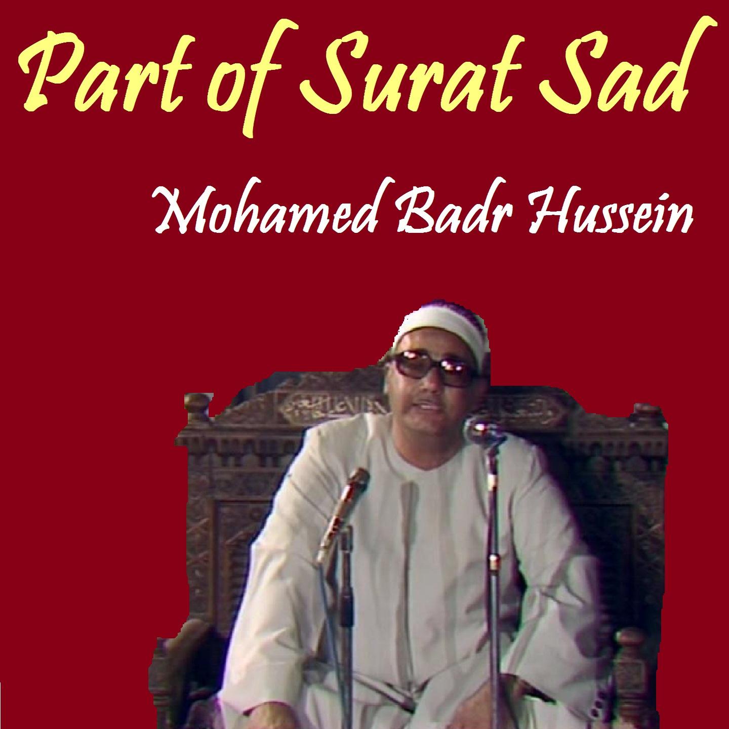 Постер альбома Part of Surat Sad