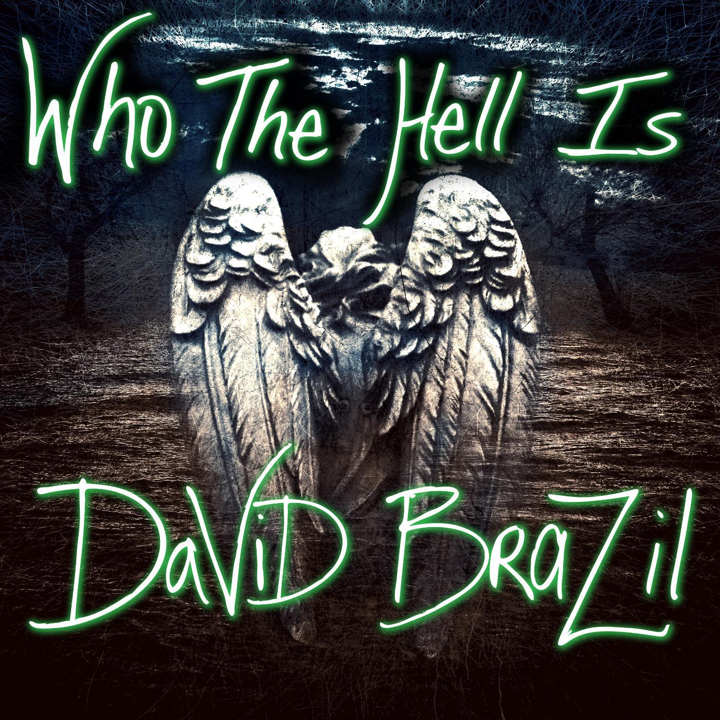 Постер альбома Who the Hell Is David Brazil?