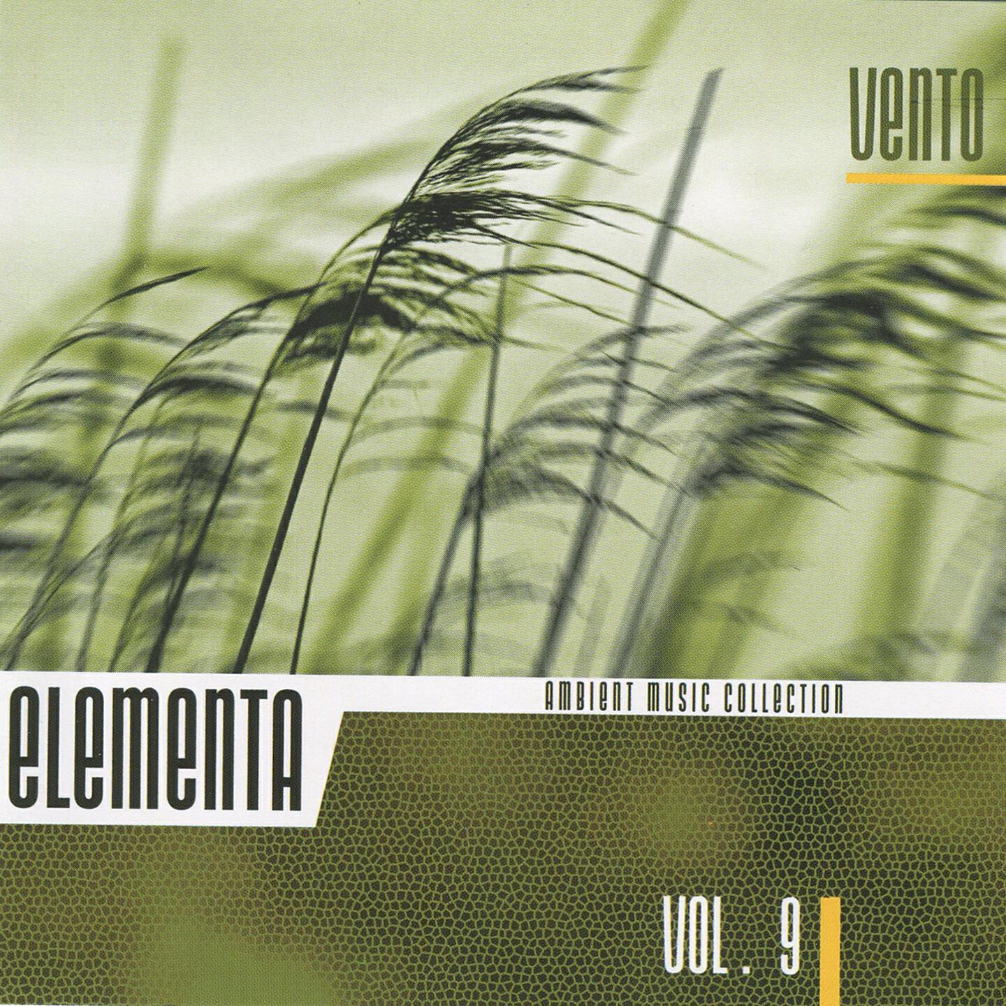 Natale Centofanti - Bass Tune