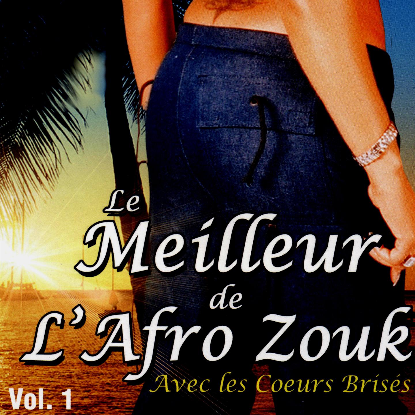 Постер альбома Le meilleur de l'afro-zouk, vol. 1
