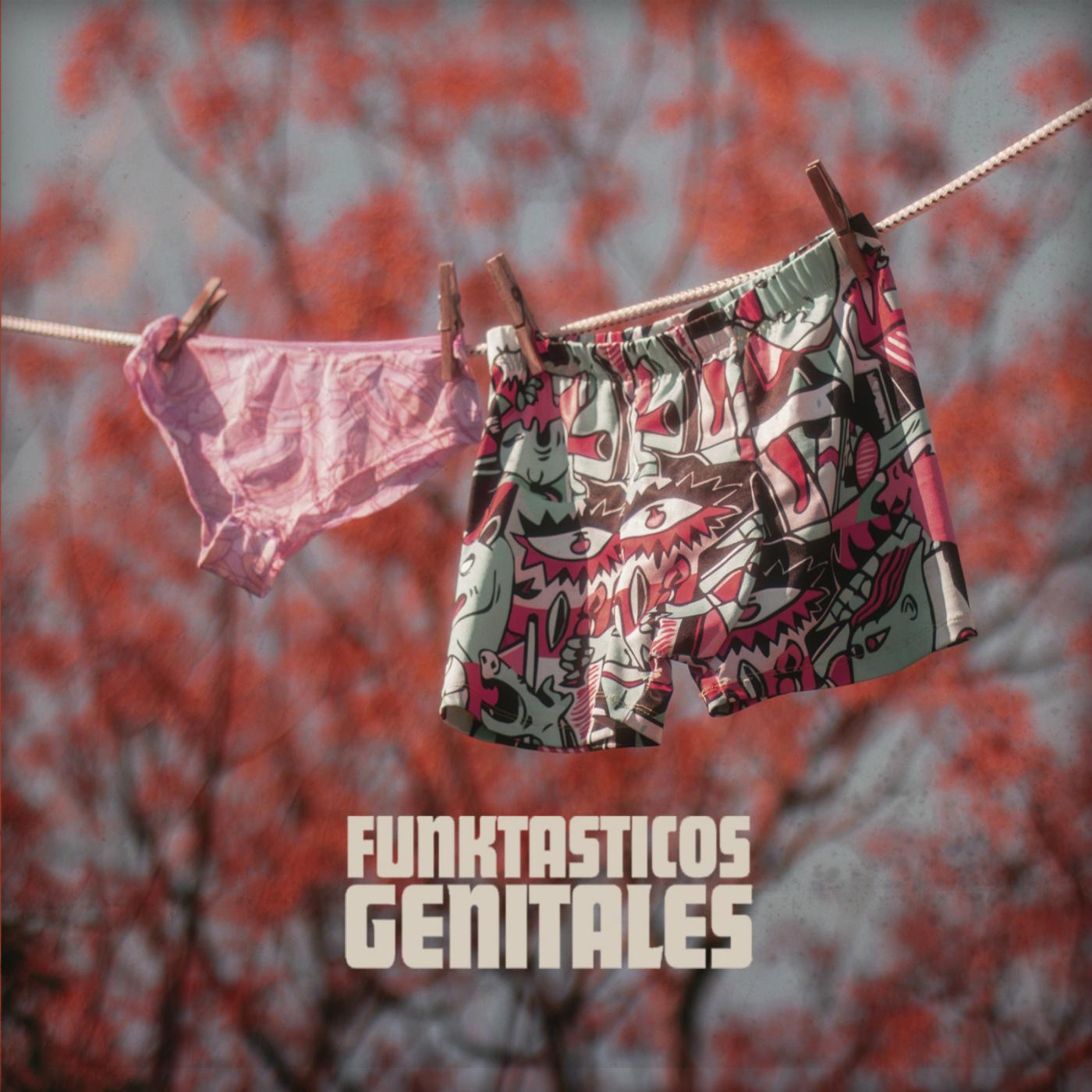 Постер альбома Los Funktasticos Genitales