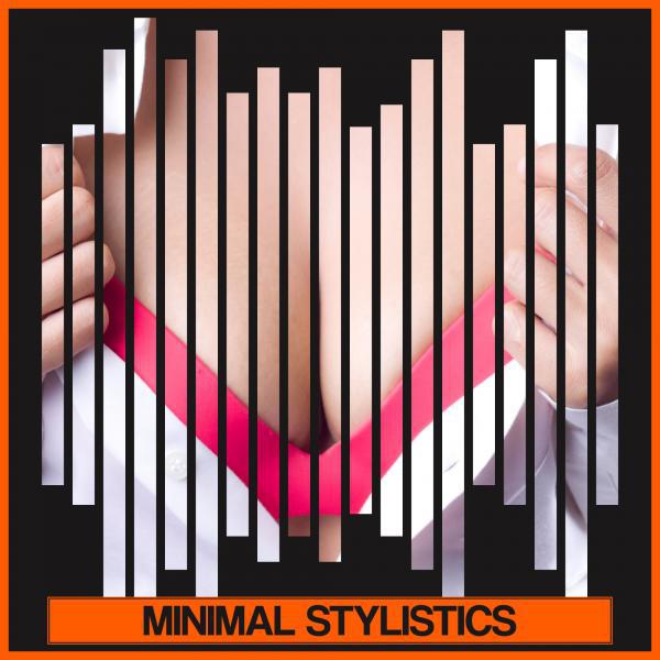 Постер альбома Minimal Stylistics
