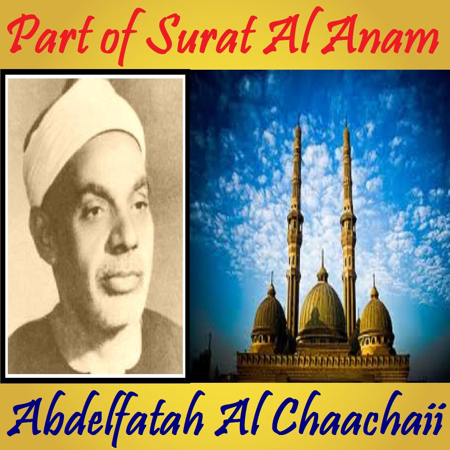 Постер альбома Part of Surat Al Anam