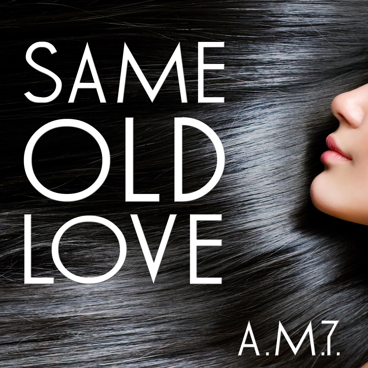 Постер альбома Same Old Love