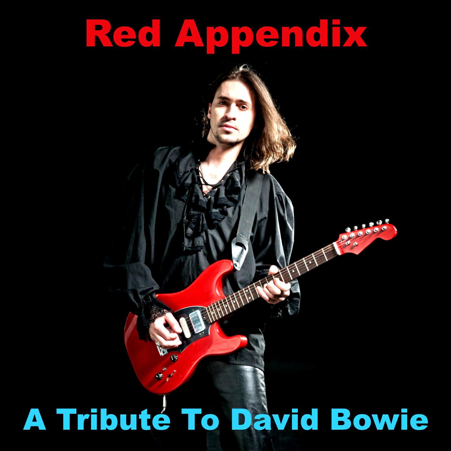 Red Appendix - Hello Spaceboy