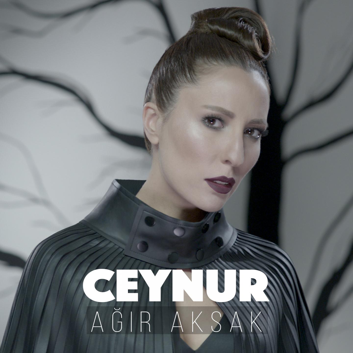 Постер альбома Ağır Aksak