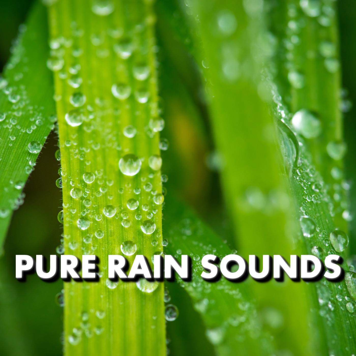 Постер альбома Pure Rain Sounds