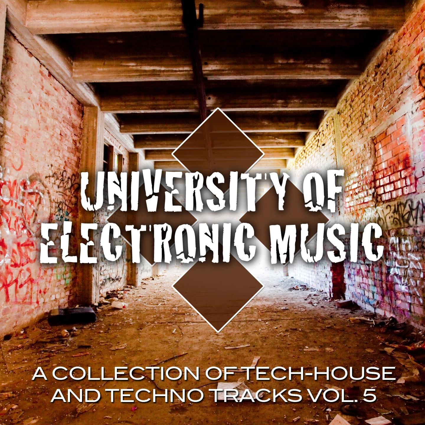 Постер альбома University of Electronic Music 5.0