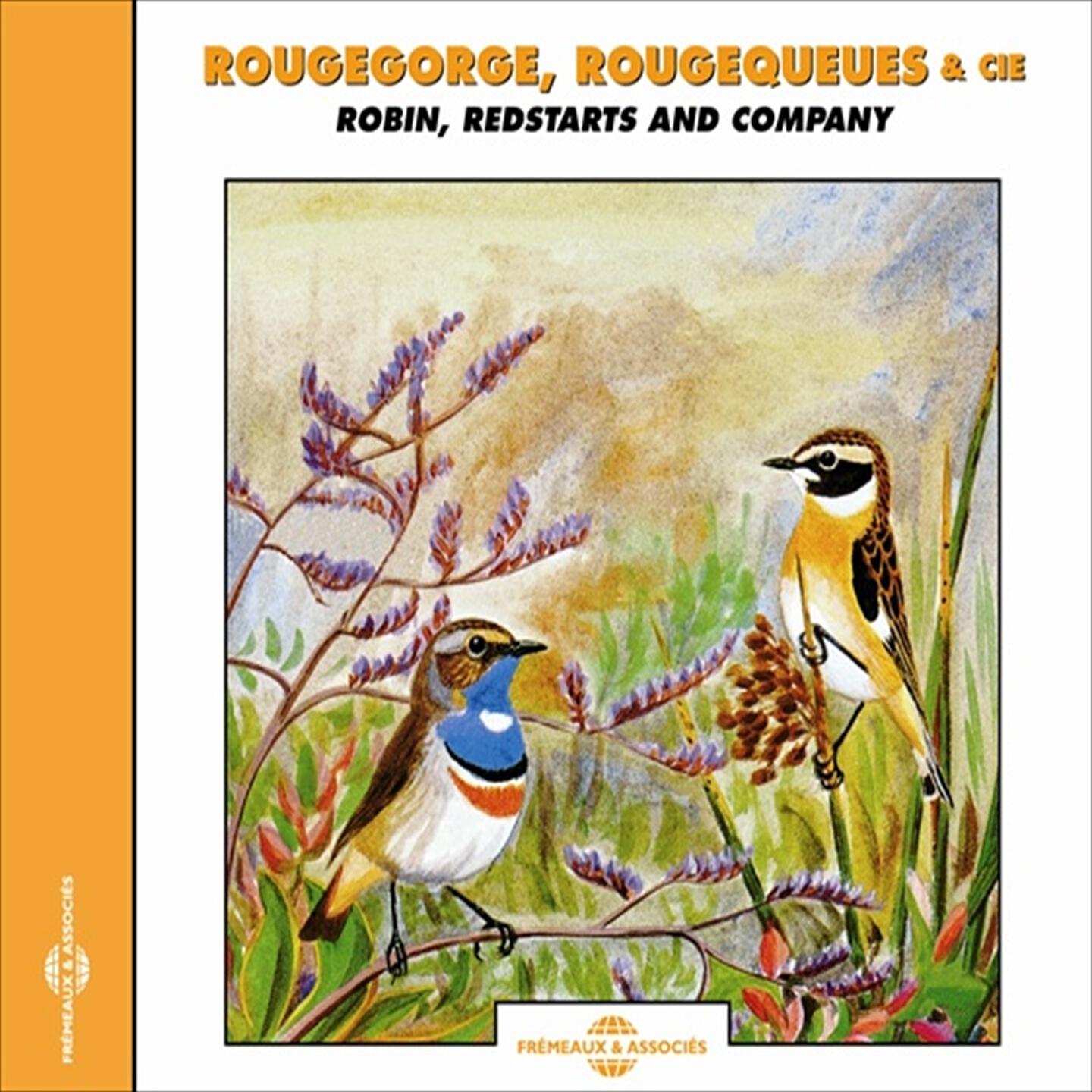 Sounds Of Nature - Traquet oreillard, pt. 2 (Black-eared Wheather)