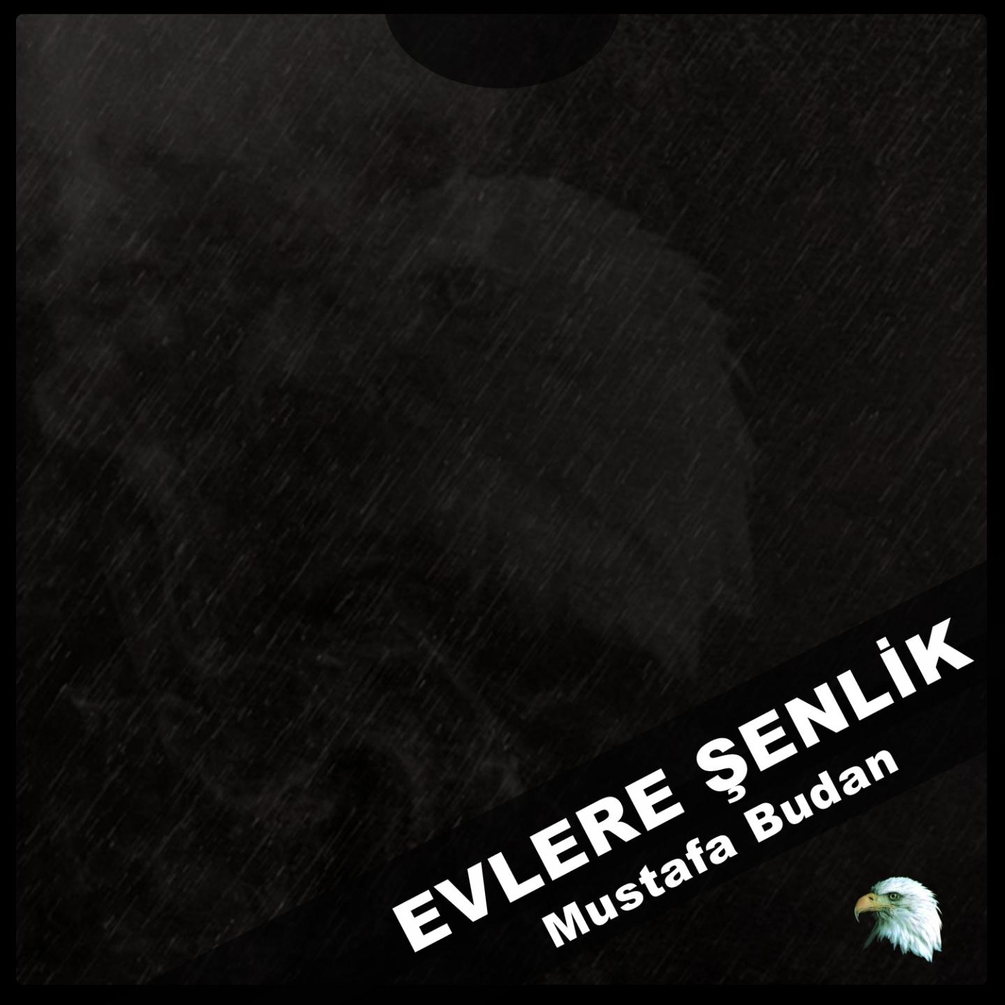 Постер альбома Evlere Şenlik