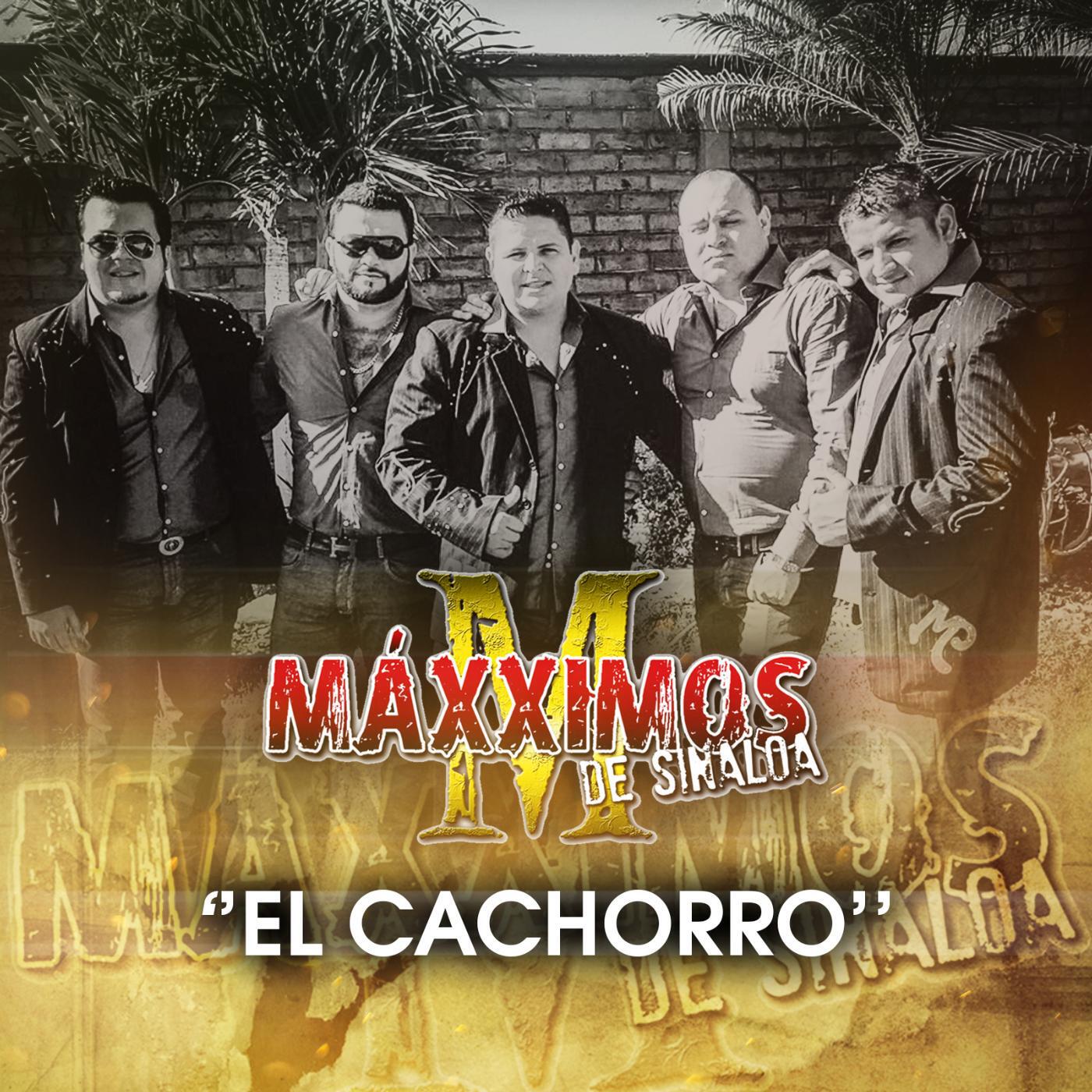 Maxximos de Sinaloa - Los Pilotos