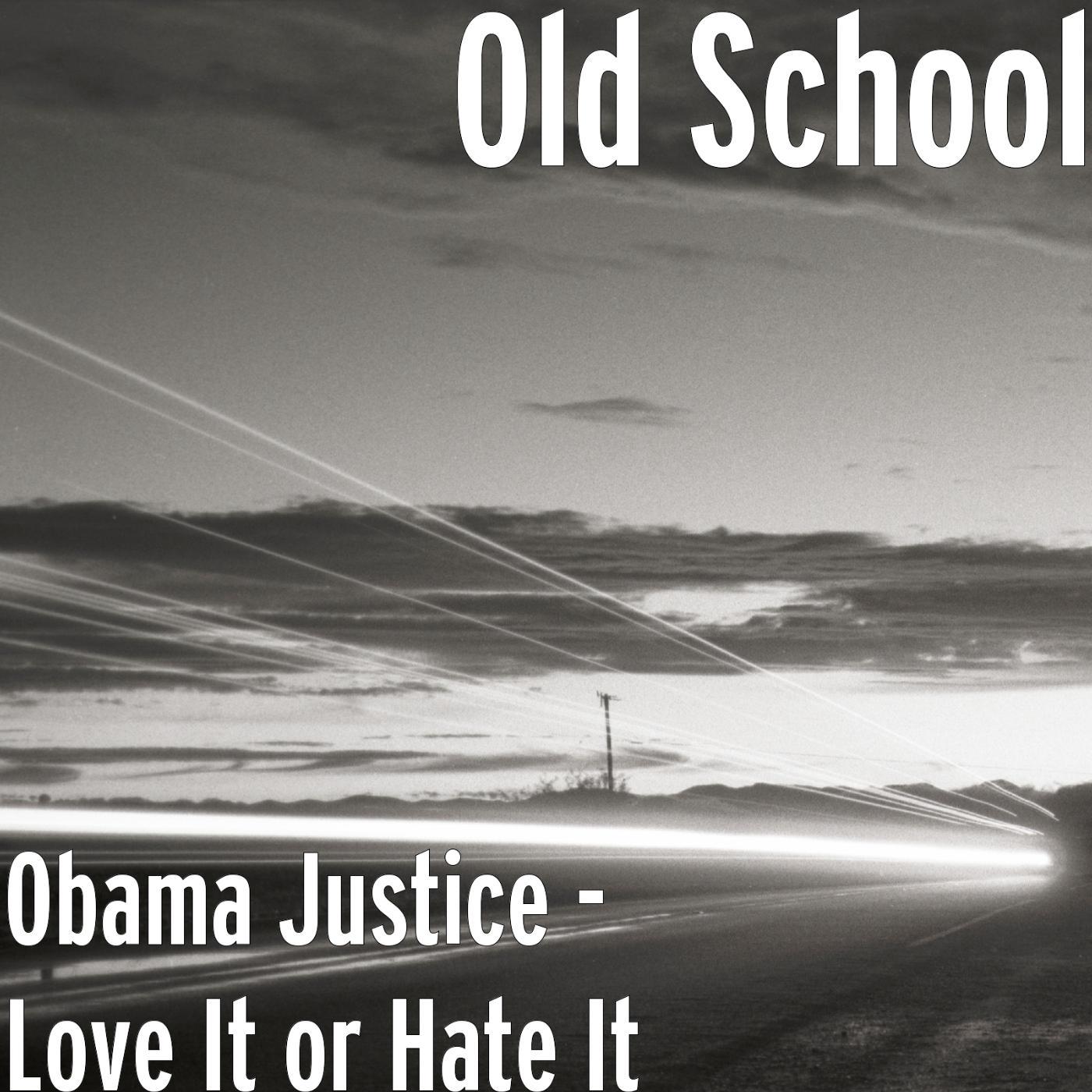 Постер альбома Obama Justice - Love It or Hate It