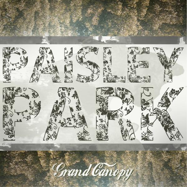 Paisley Park - Little Bit
