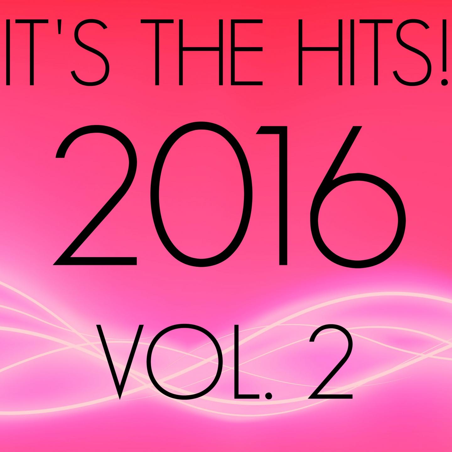 Постер альбома It's The Hits! 2016, Vol. 2
