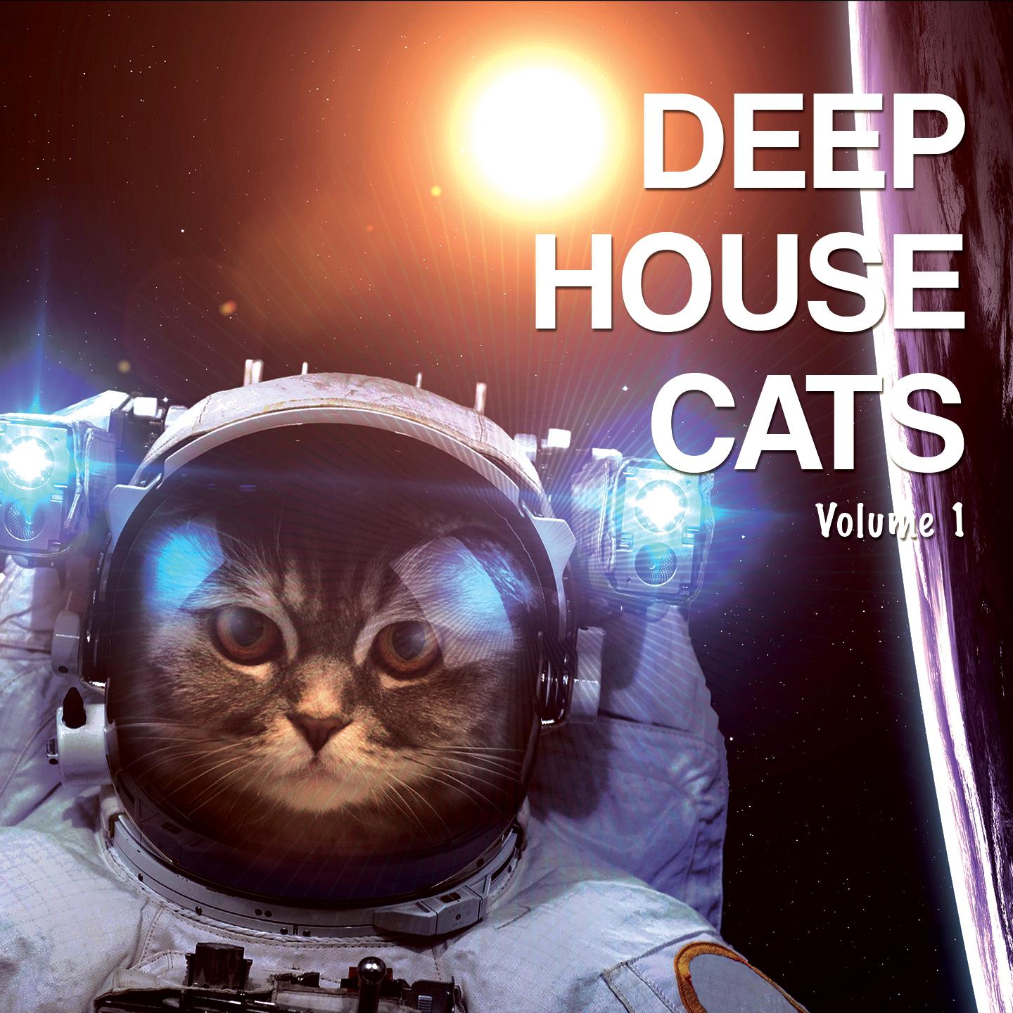 Постер альбома Deep House Cats, Vol. 1 (Tropical & Deep Underground Beats)