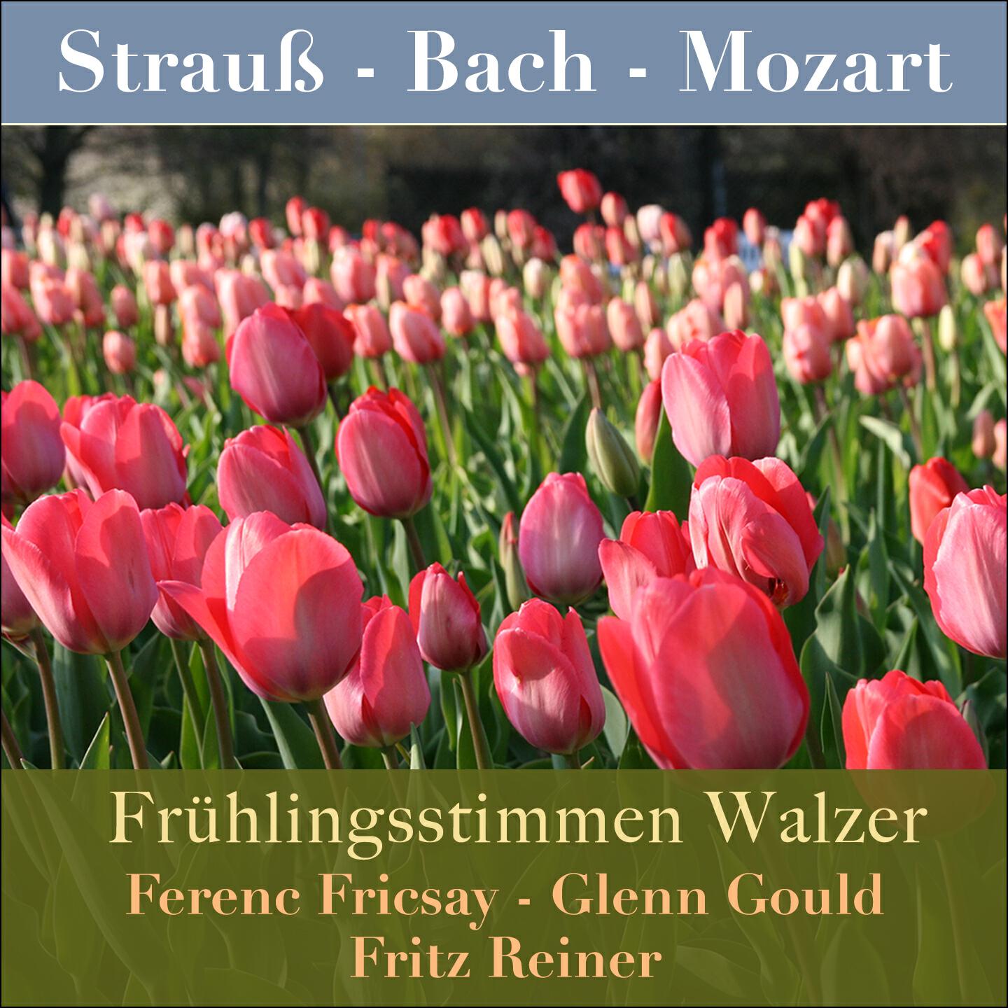 RIAS-Symphonie-Orchester - Trisch-Tratsch-Polka, Op. 214