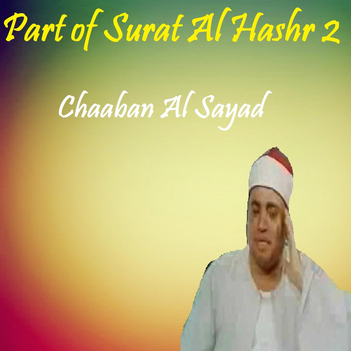 Постер альбома Part of Surat Al Hashr 2