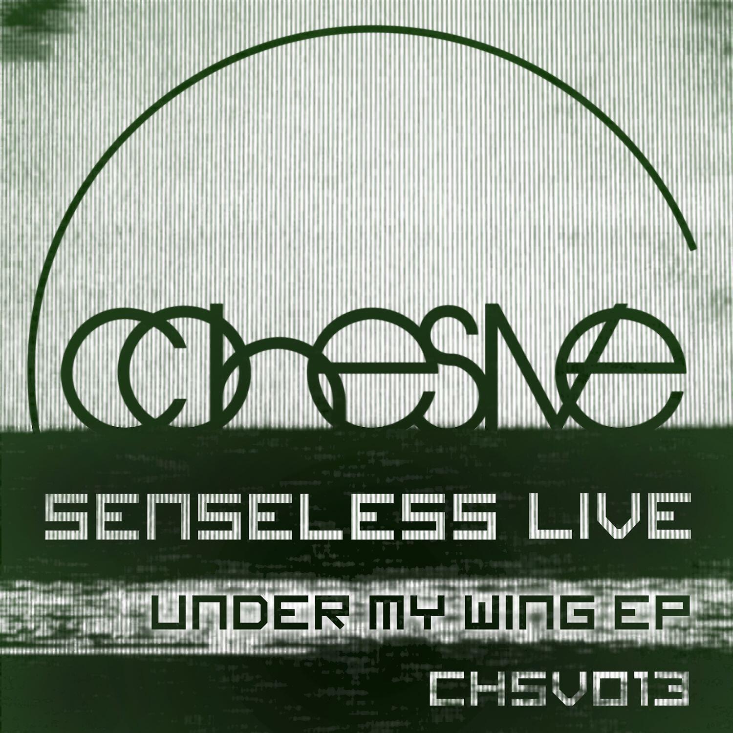Senseless Live - Sunrise Pilgrum