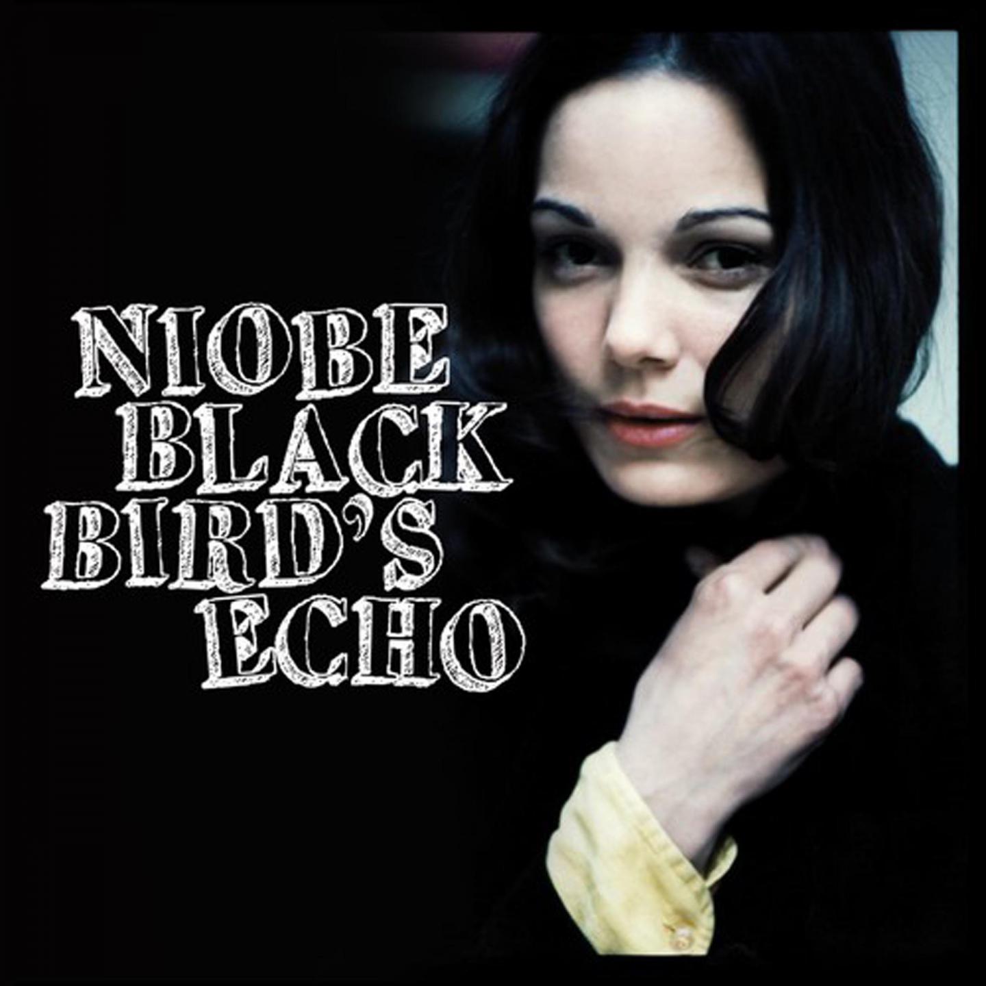 Постер альбома Blackbird's Echo