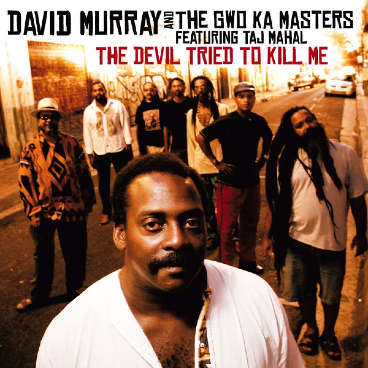 David Murray - Southern Skies (feat. Taj Mahal) [Radio Edit]