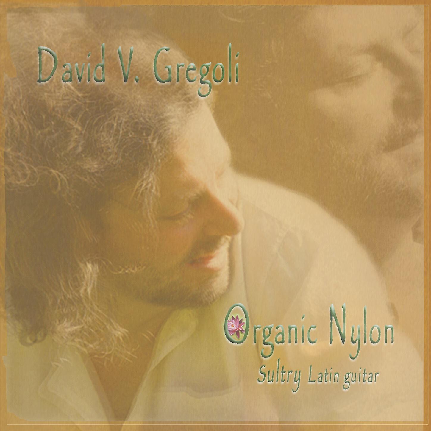 David Vito Gregoli - Ricardo del Sur
