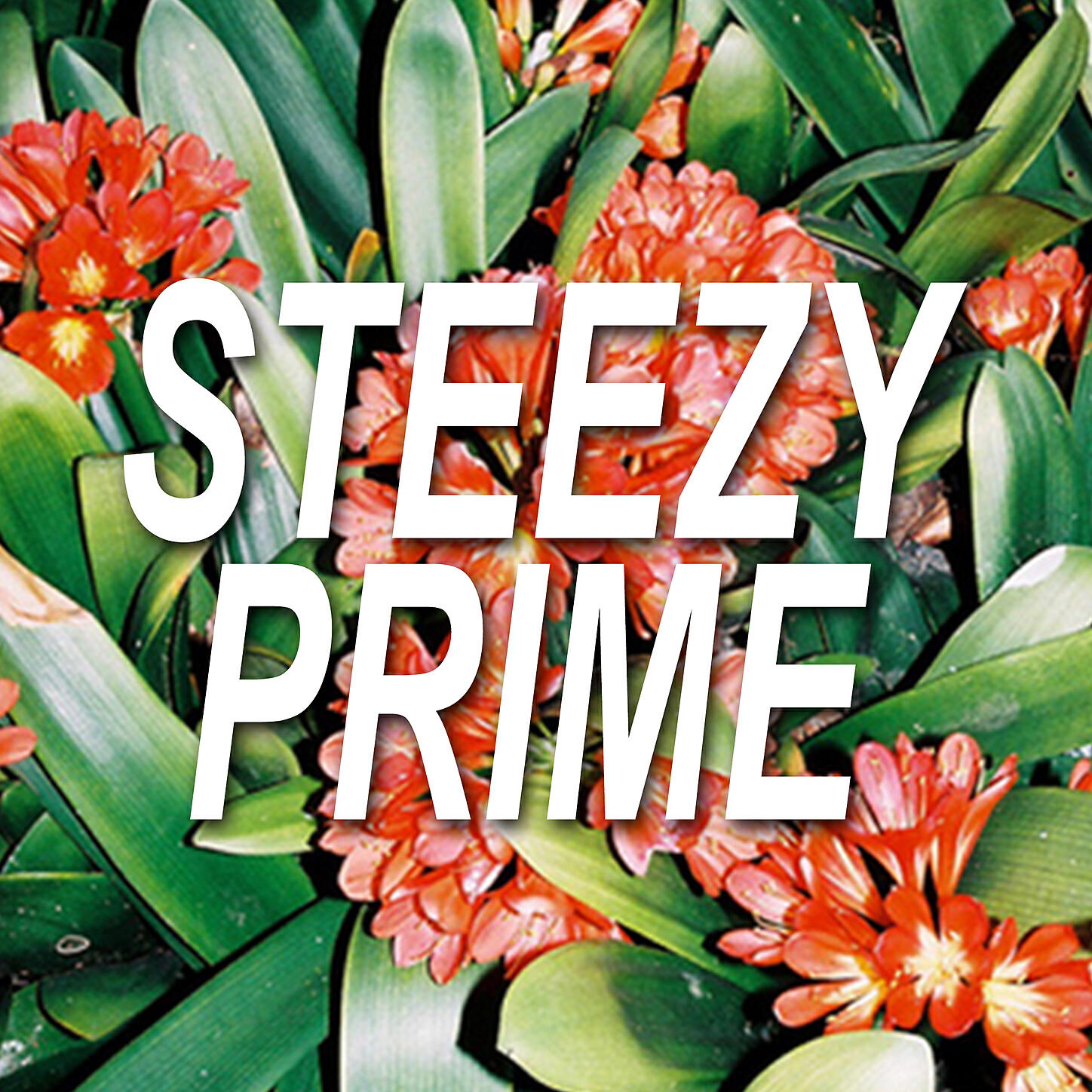 Steezy Prime - Floating