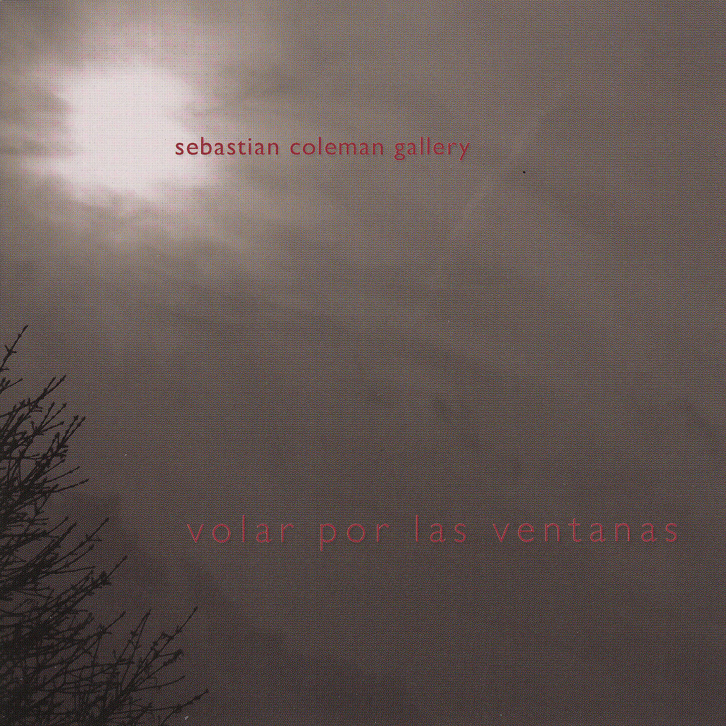Sebastian Coleman Gallery - Volar por las Ventanas