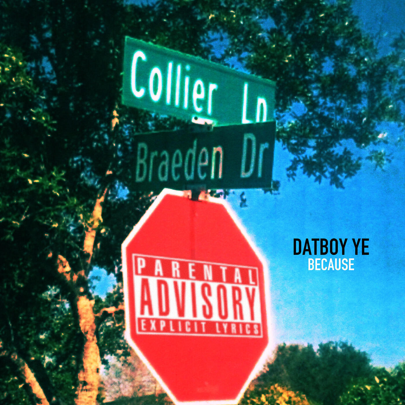 Datboy Ye - Just Another Hoe (feat. Ty Reed & Flewit)