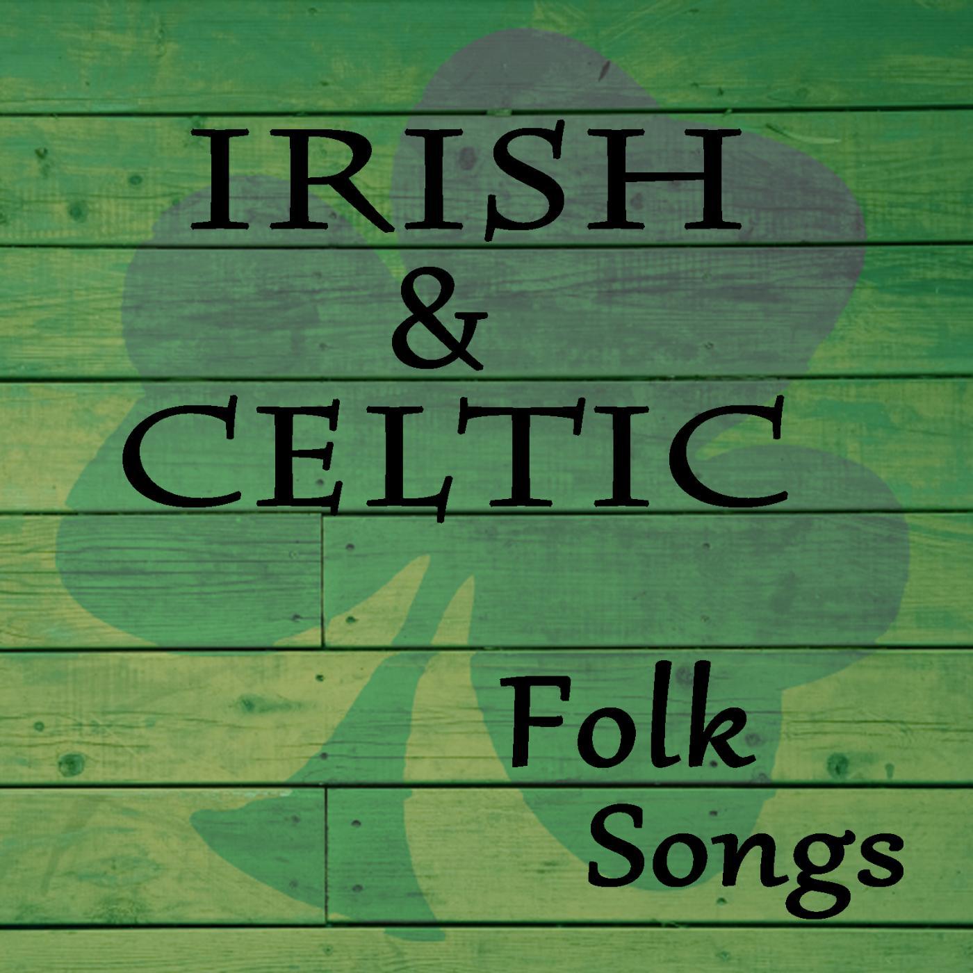 Постер альбома Irish & Celtic Folk Songs