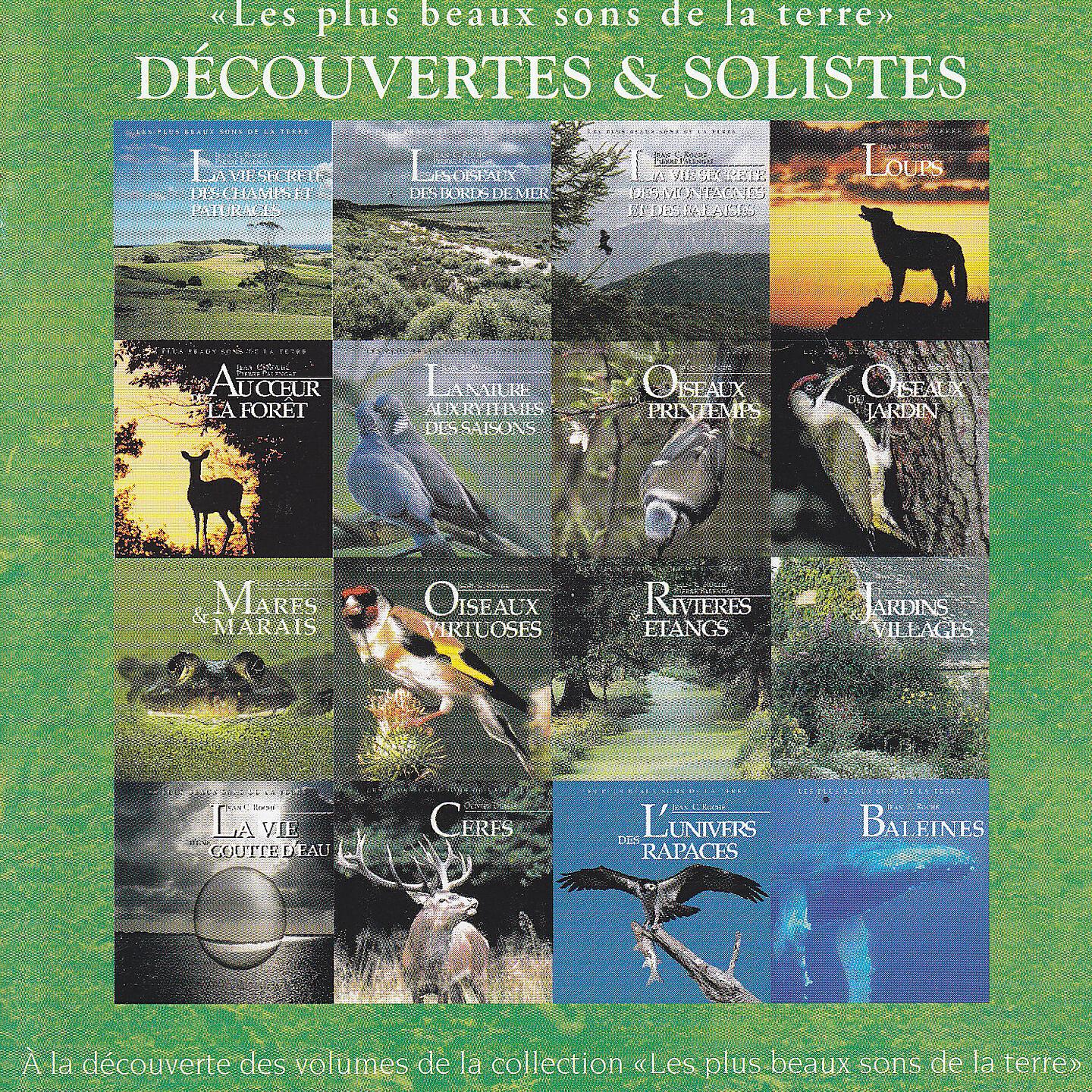 Jean C. Roché - Les oiseaux des bords de mer