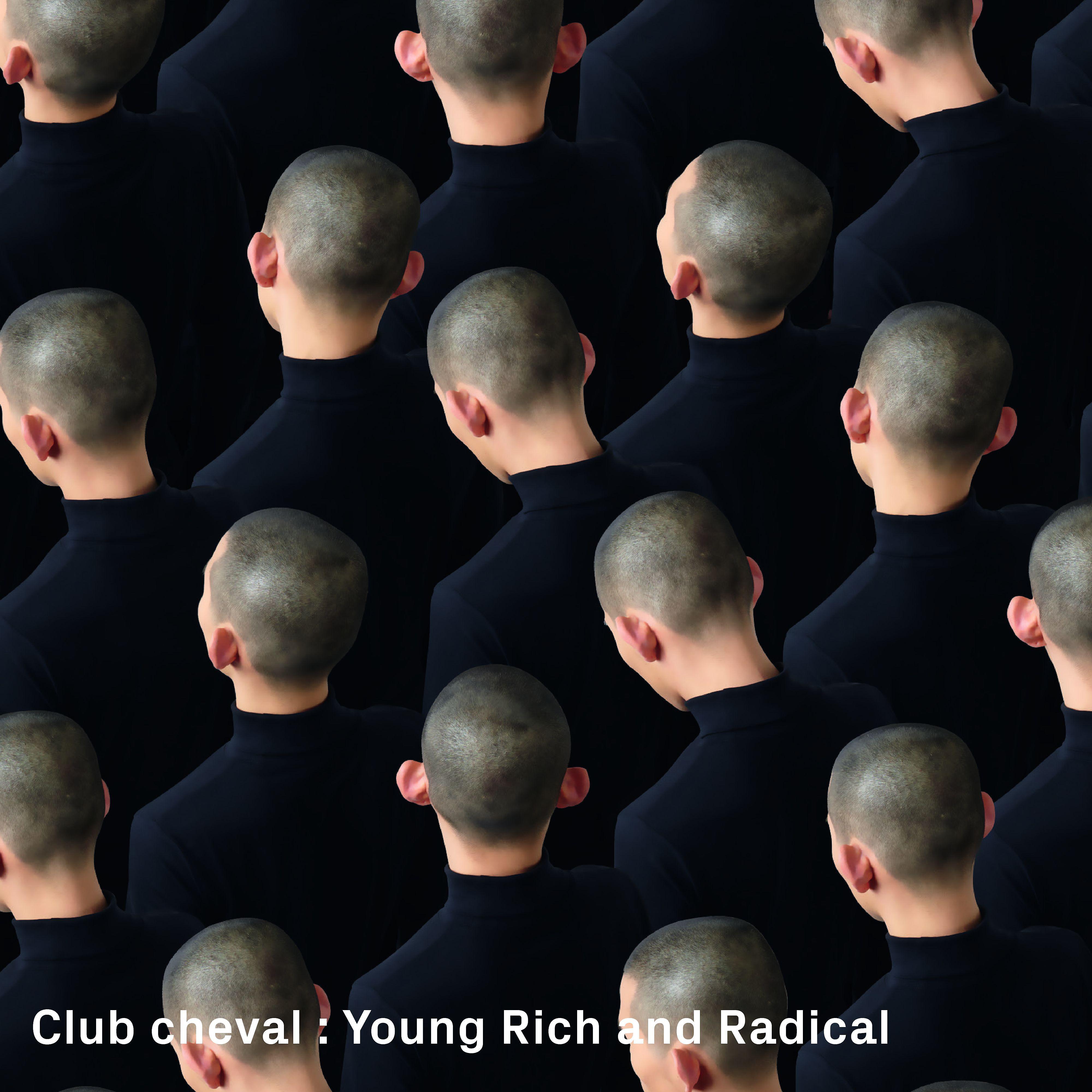 Постер альбома Young Rich And Radical (Radio Mix)