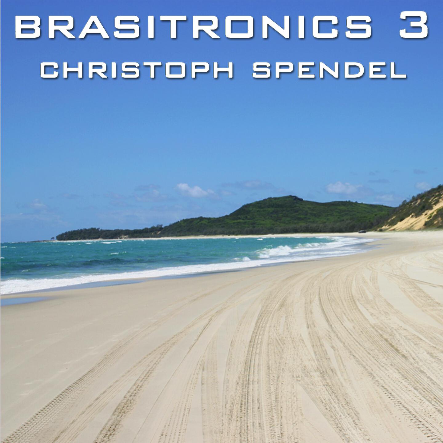 Christoph Spendel - Brasilian Brushes