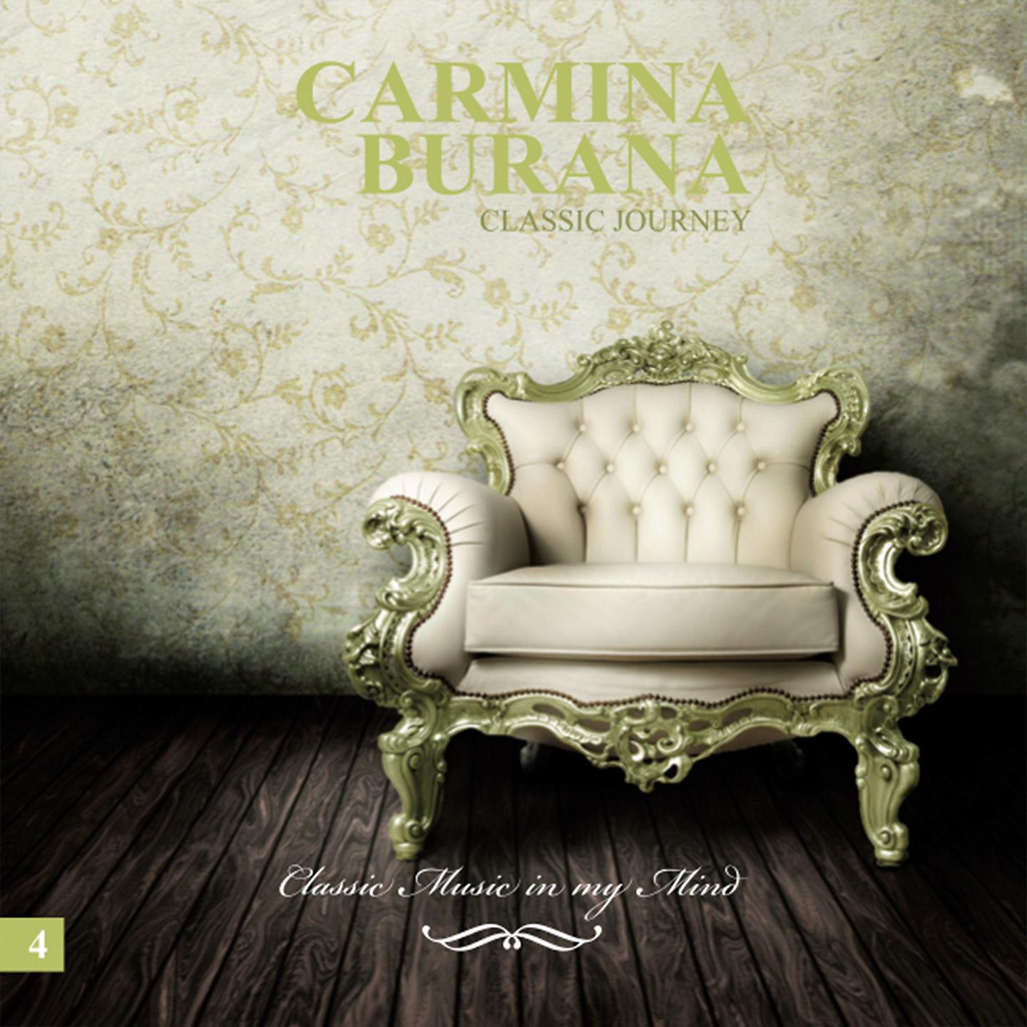 Постер альбома Carmina Burana Classic Journey