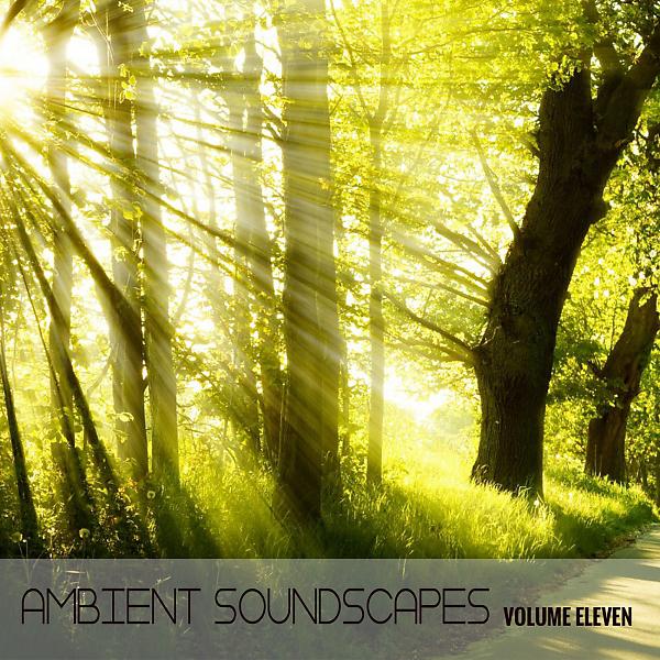 Постер альбома Ambient SoundScapes, Vol. 11