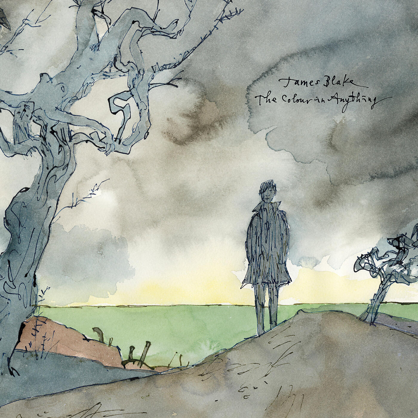 James Blake - I Need A Forest Fire