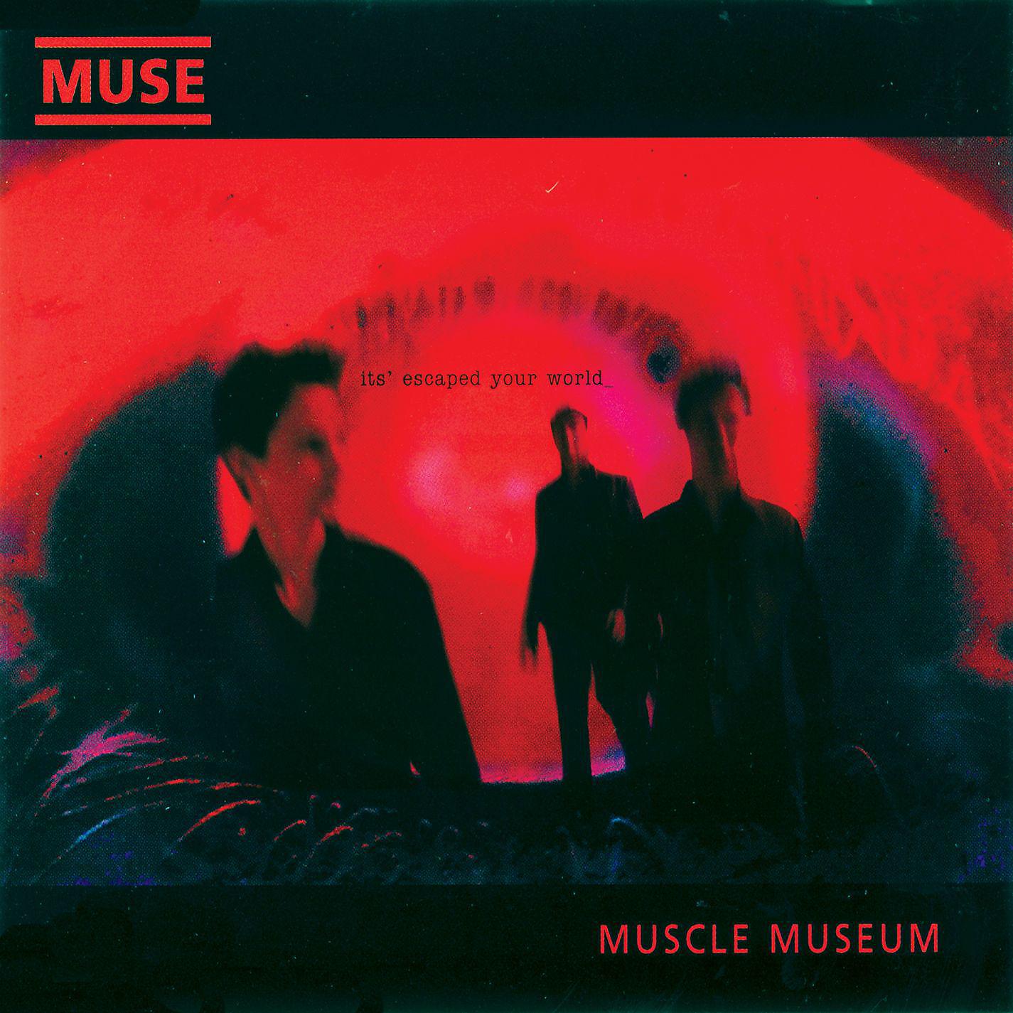 Постер альбома Muscle Museum