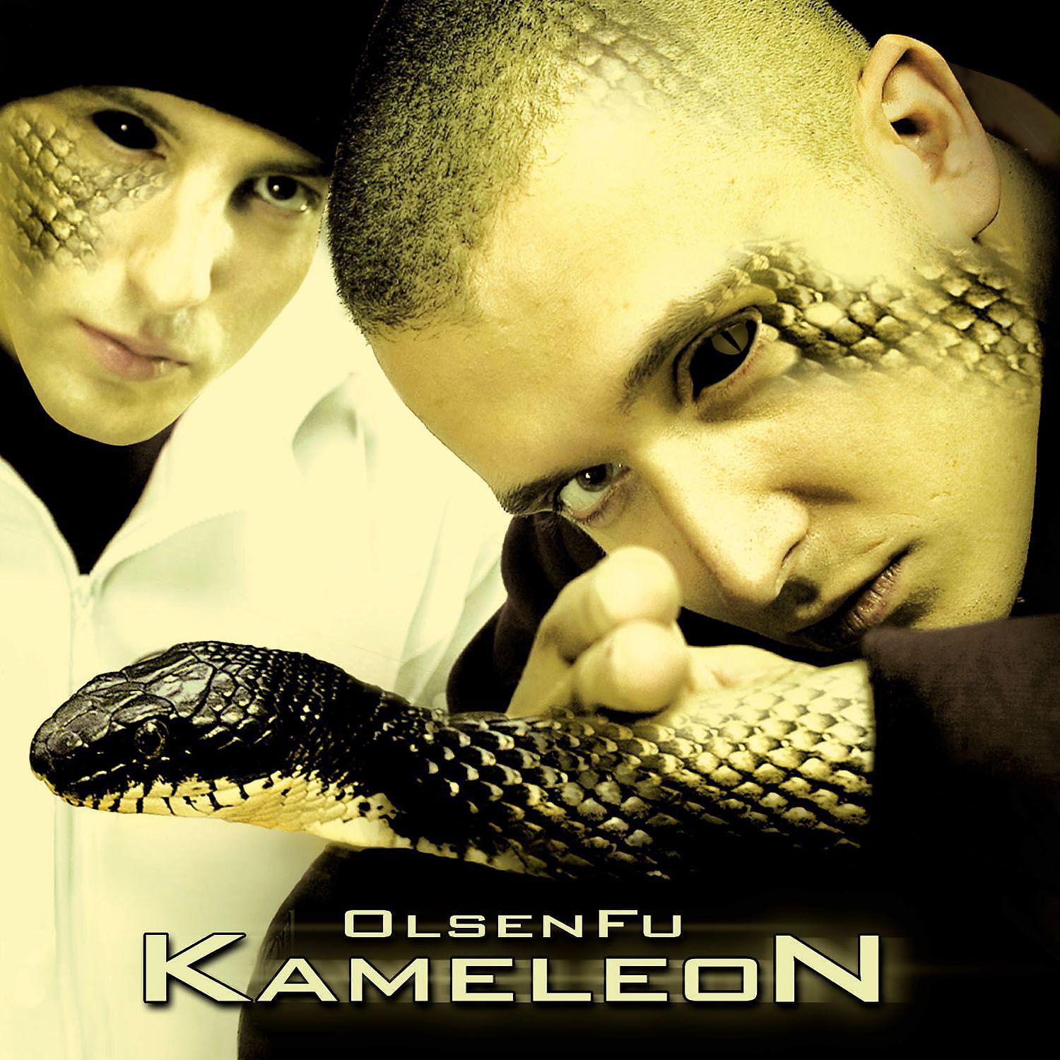 Постер альбома Kameleon